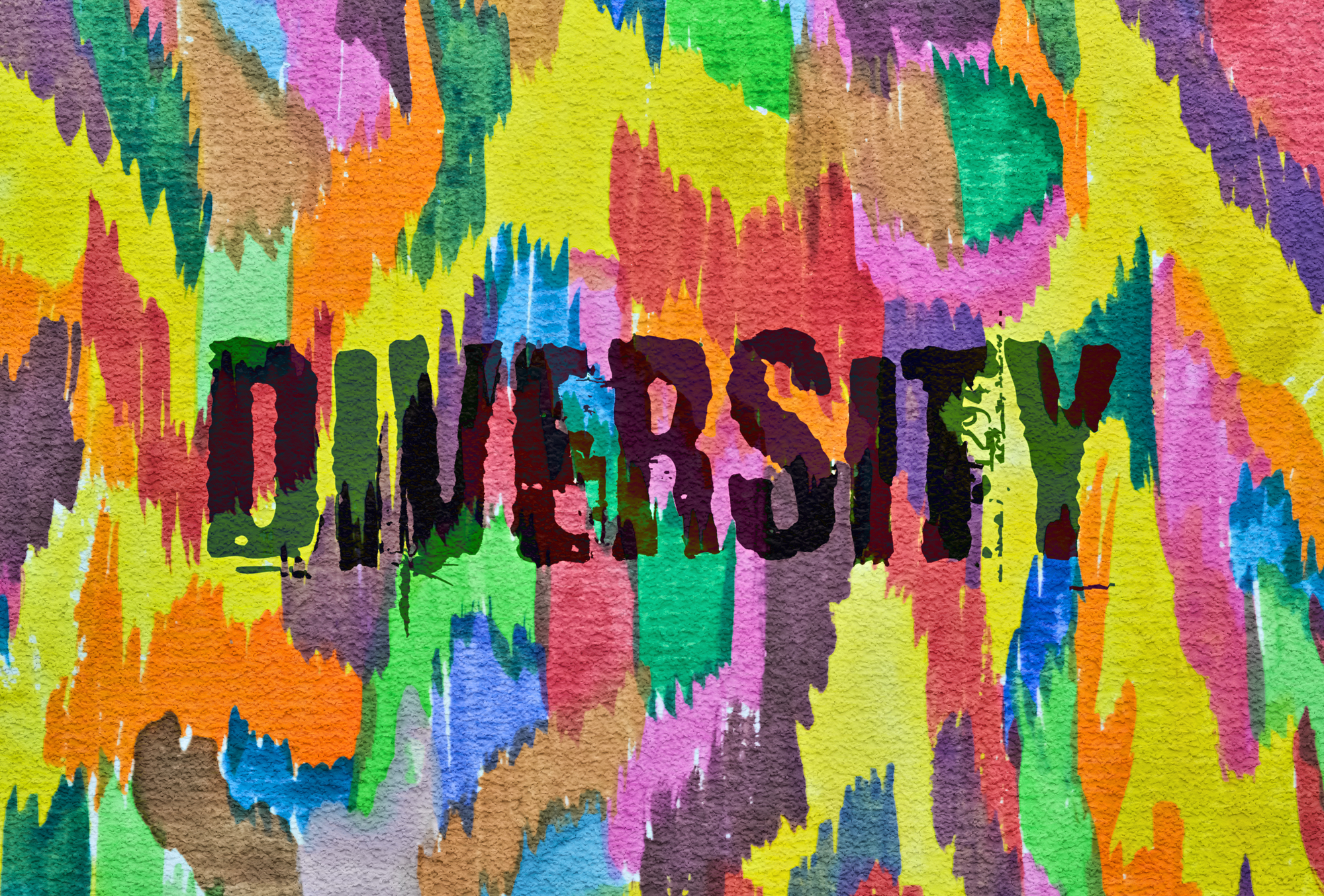The Pursuit Of Diversity & Inclusion